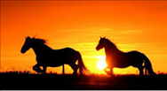 Shoq's tweet photo. Charles and David Koch's most famous ballad:
"Don't Let The Sun Go Down For Free." #MakeASongDepressing http://t.co/aR2i67gG8K
