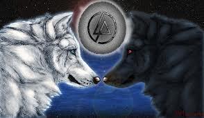 eversonxavier4's tweet photo. http://t.co/Vgd1L3IJAM