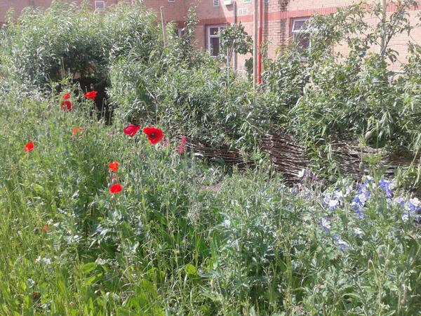 HarmonyGG's tweet photo. This was where we were today. What about you? No photo enhancement, those colours are natural. 1/2 http://t.co/y8JuyCm4f8