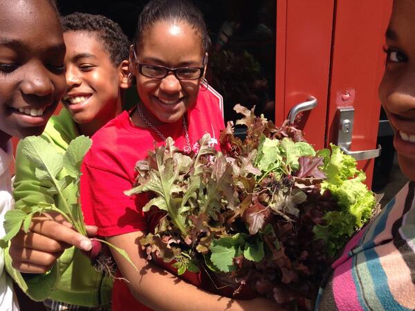 MrsAFortune's tweet photo. lettuce harvest! can't wait for lunch! #hessgarden #wearehess @Mrs_S_Green @MelLamanteer @DraperTech @Alexis0623 http://t.co/aOYs5bfUR9