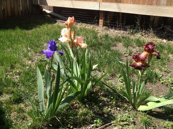 Poetic_Disciple's tweet photo. The beauty of creation is such a rich reminder of deep friendship. http://t.co/u7IIbD4xGh