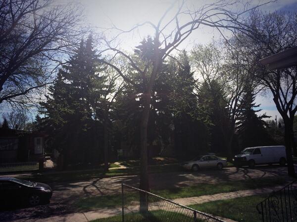 shelbdes's tweet photo. @natalielasko while you guys have rain I have to deal with this http://t.co/sNzdM9wtGM