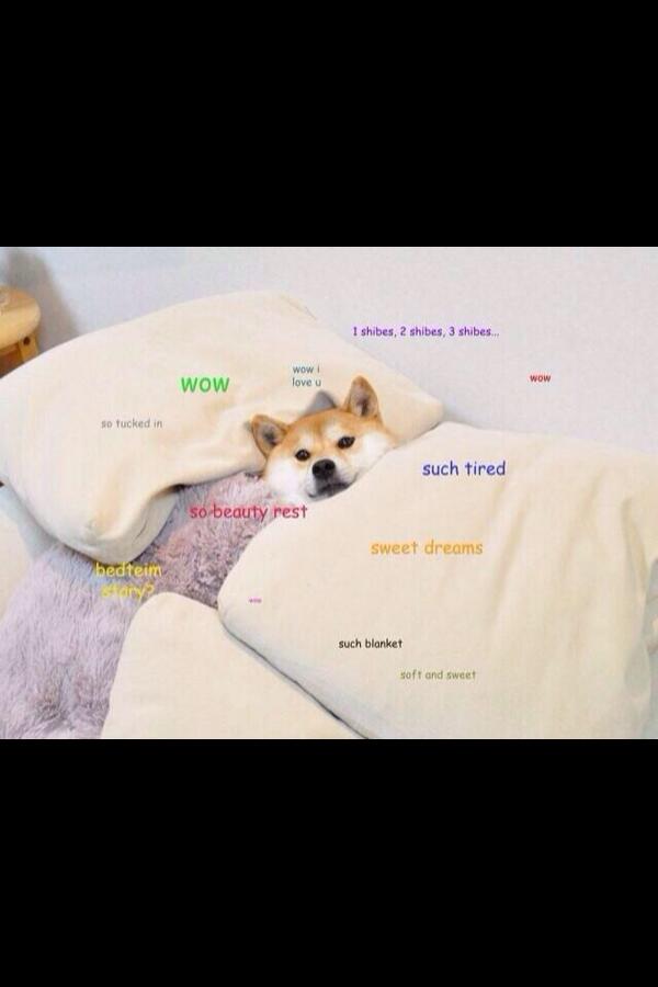 Shibe Doge tweet media
