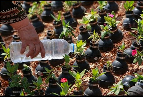 Image_Fasci's tweet photo. Cette Palestinienne ramasse les bombes de gaz envoyées par Israël et y fait pousser des fleurs. http://t.co/O1lHaOf5pJ