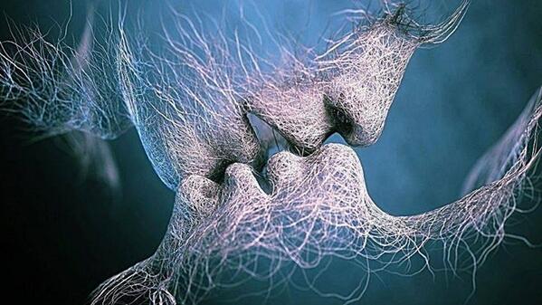 Lucio Valerio tweet media