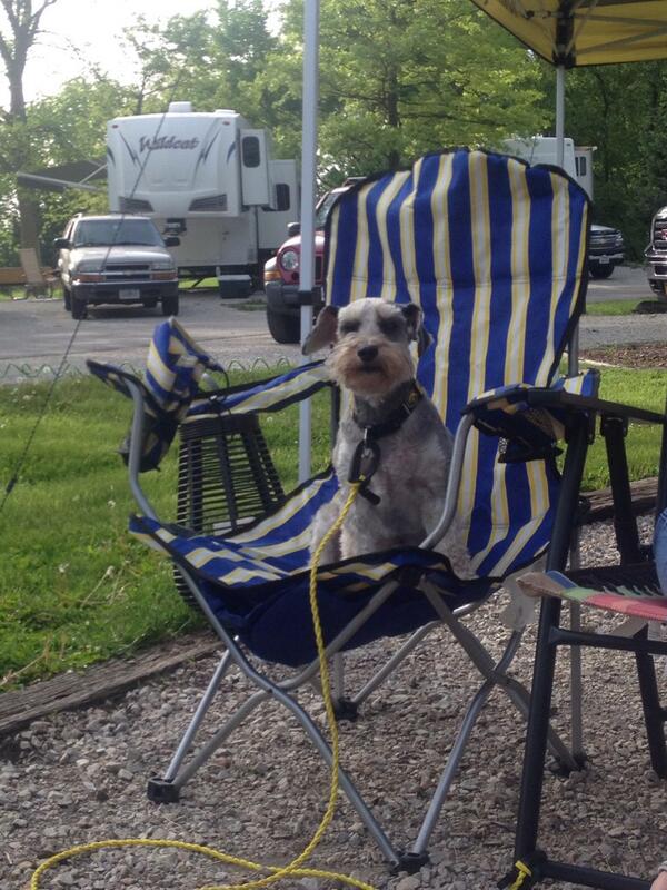 i_schnoodle's tweet photo. Camping! http://t.co/MA6hVDpb5T