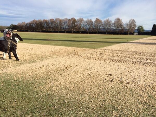 Sand chess anyone? Windsor number 1 today. Number 2 tomorrow.