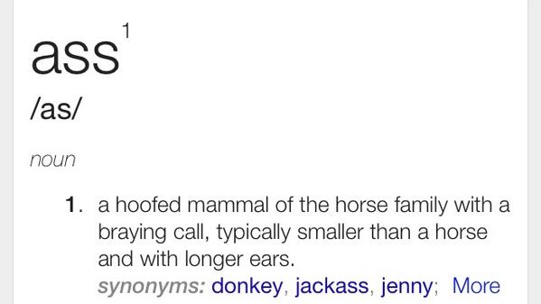 RickyPDillon's tweet image. @jccaylen I didn't know Kian had a donkey?