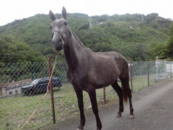 sanchezcaudal's tweet photo. Ghala!! http://t.co/M0etnyr2h2