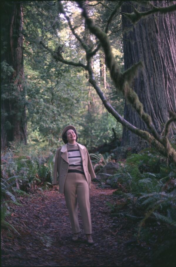 LyndonJohnson63's tweet photo. On November 25, 1968, Lady Bird ventured to see the beautiful Giant Redwoods. http://t.co/3nwVjV61zj