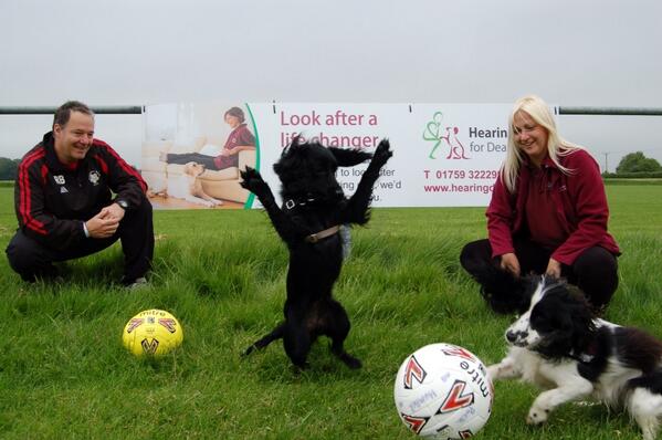 rbower9112's tweet image. Hearing Dog penalty shoot out competition at @PockTownAFC earlier today #greatorganisation #rewardingexperiences