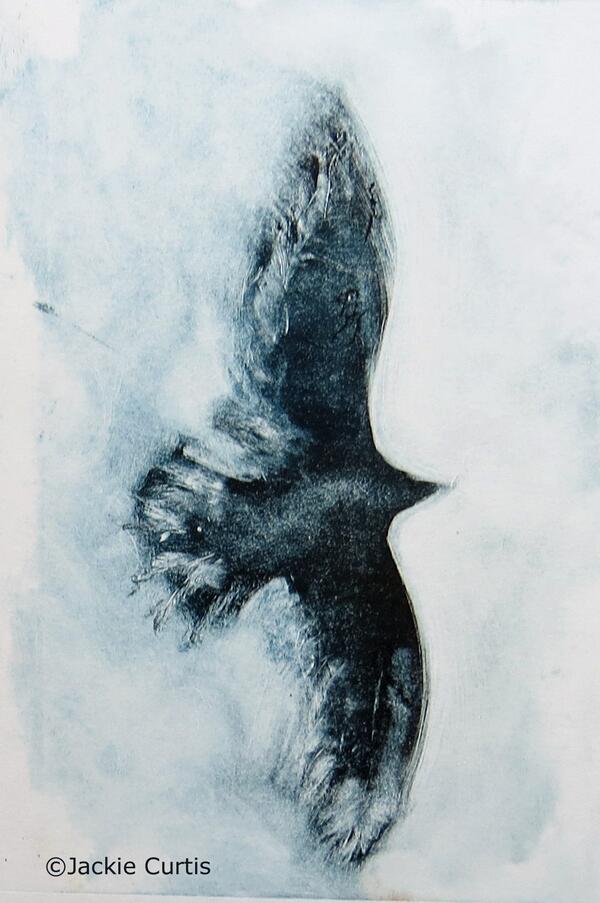 jcurtisart's tweet photo. #MoveMay Crow in flight 2nd attempt at demo #Monoprint from today's workshop #Printmaking http://t.co/hgh5R42cqo