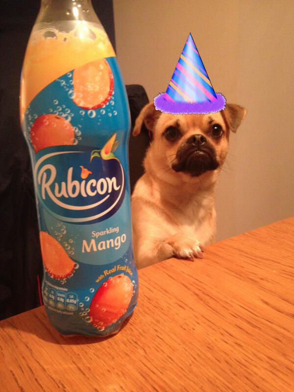 robjpowell's tweet photo. This cool cat is #readytomango. http://t.co/hJB7YQVIxt