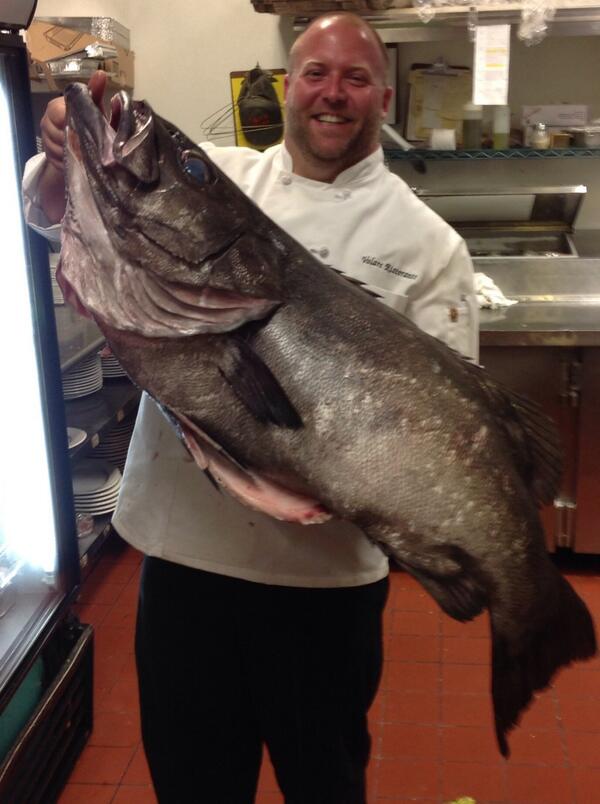 Joshua Moore tweet media