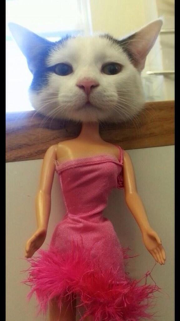 ItsAnimalPix's tweet image. Yet another unrealistic standard of beauty for women.