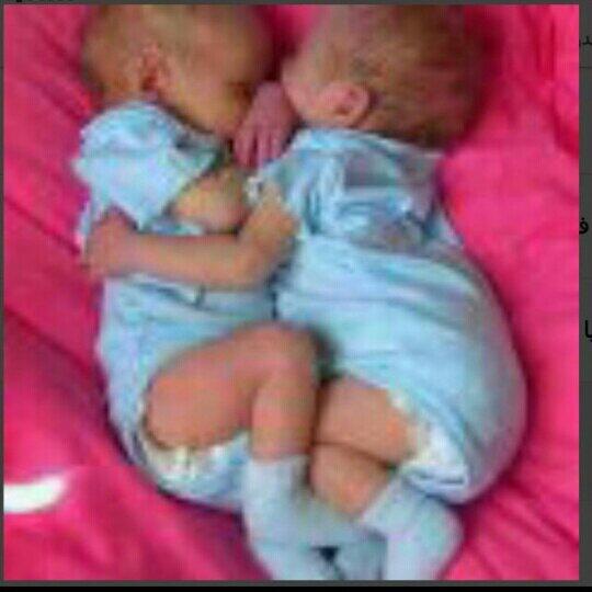 heef Alheef (@halheef) on Twitter photo 