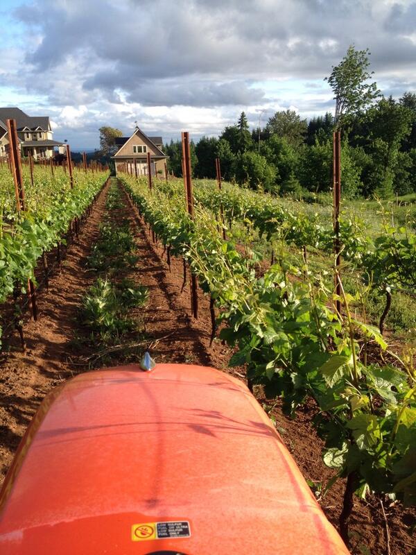RallisonCellars's tweet photo. Slave to the vine. http://t.co/bw2U34YudC