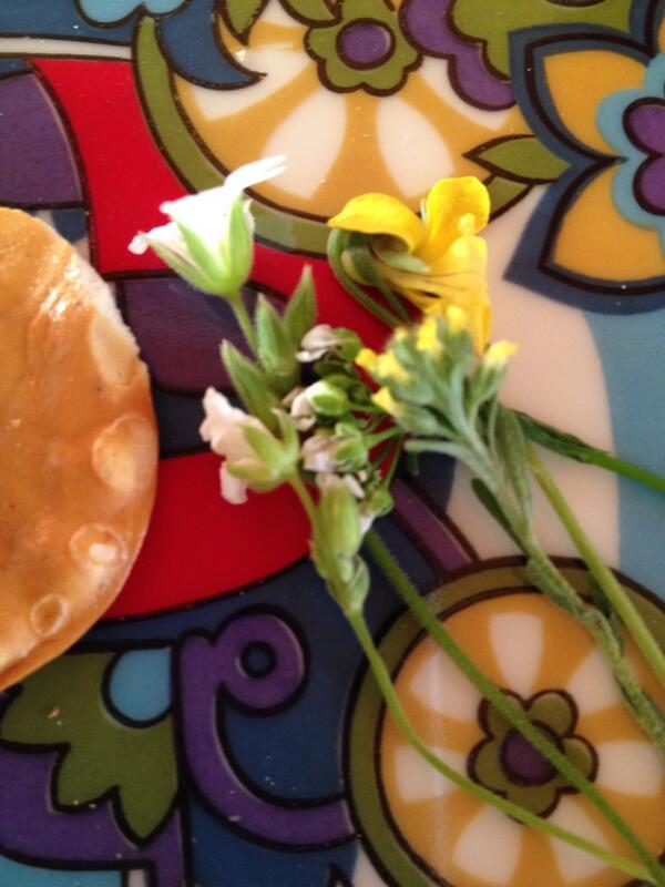SallyStirn's tweet photo. Way cool wildflowers picked by our great nieces! http://t.co/uvF0vCYcqm