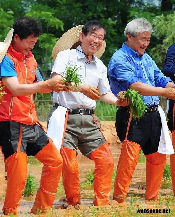 wonsooncnet's tweet image. 즐거운 주말입니다. 이제 오월의 끝자락인데요,  여러분 굳이 교외로 나가지 않고도 서울시 안에서 자연을 경험할 수 있다는 것을 알고 계신가요?  : bit.ly/Ss6nwC @원순씨닷컴