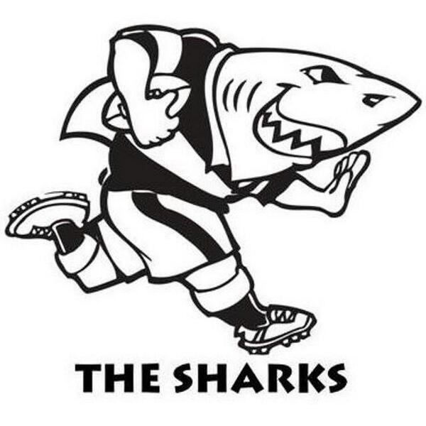 Cell c sharks tweet media