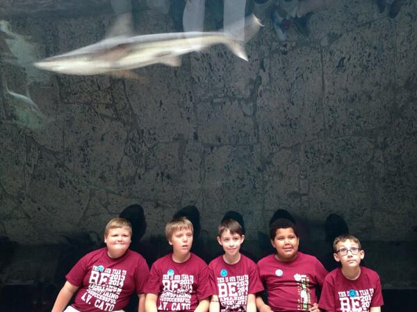 bm3mom02's tweet photo. Third grade at the aquarium #be_cato http://t.co/4kHRZKMqle