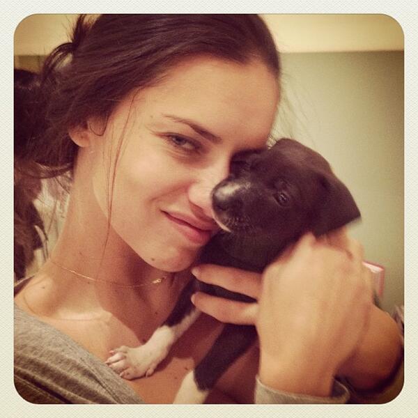 #AlgoTipicoMio Darle demasiado amor a los animales :3