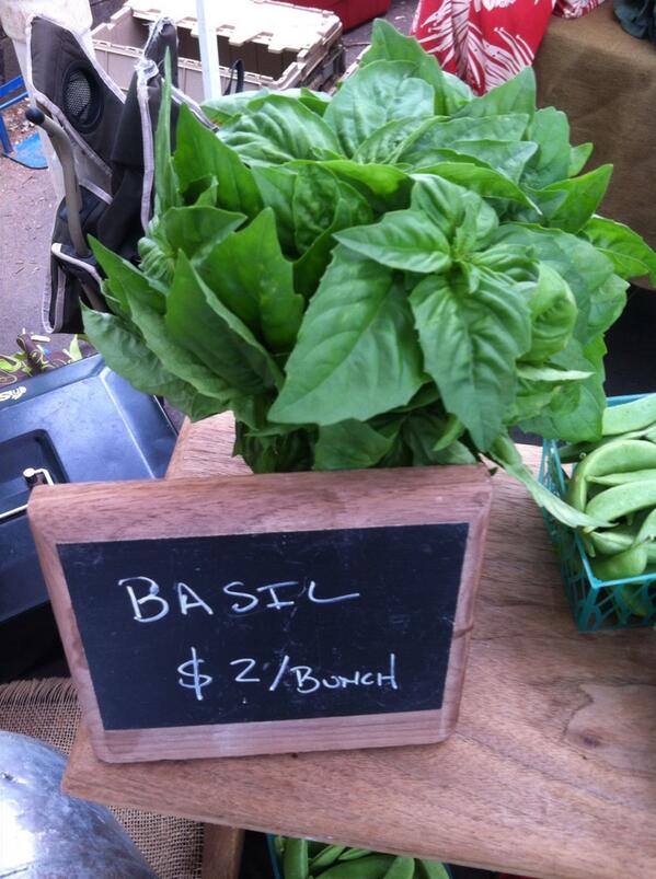 dayspringfarms's tweet image. Happy to have our first harvest of basil for the year! #dayspringfarms #pestotime