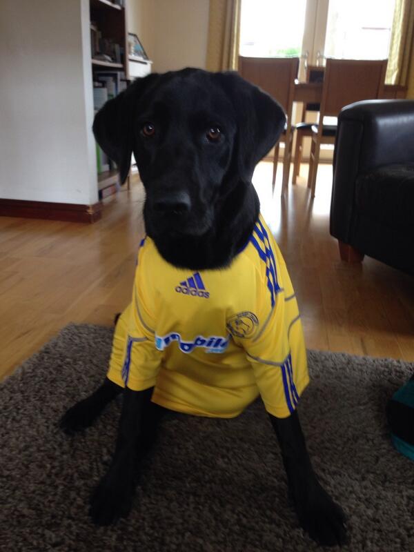mpedinburgh's tweet photo. @dcfcofficial RAMsay supporting from Dunfermline #PlayOffFinal #COYR http://t.co/UJQvhkh2ZM