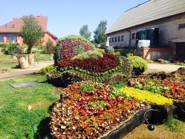 Puķu zvēri gatavojas ceļojumam uz @Liepājā