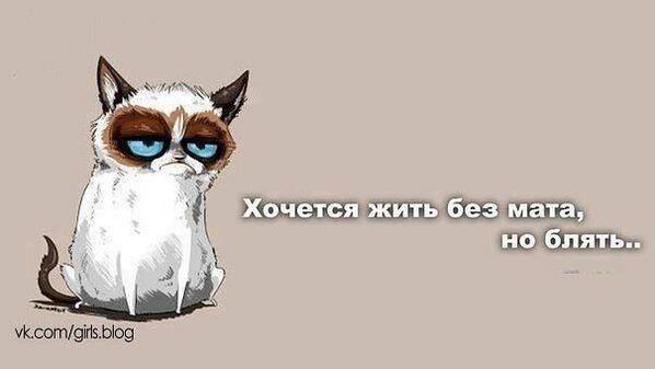 rom_arina's tweet photo. http://t.co/I3nGG9SzGu