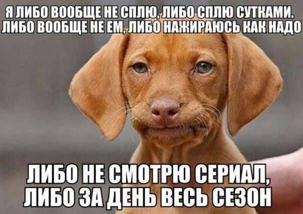 rom_arina's tweet photo. http://t.co/rkolxUohdl