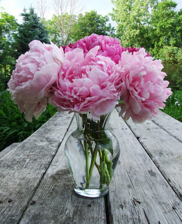 rom_arina's tweet photo. http://t.co/lSv0U78tcZ