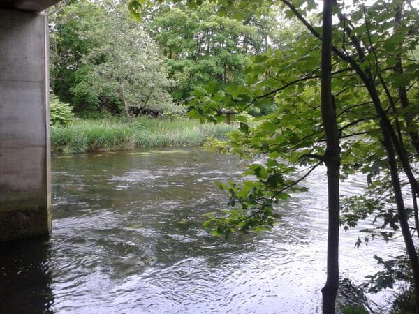 Myfanwy Cowdy tweet media