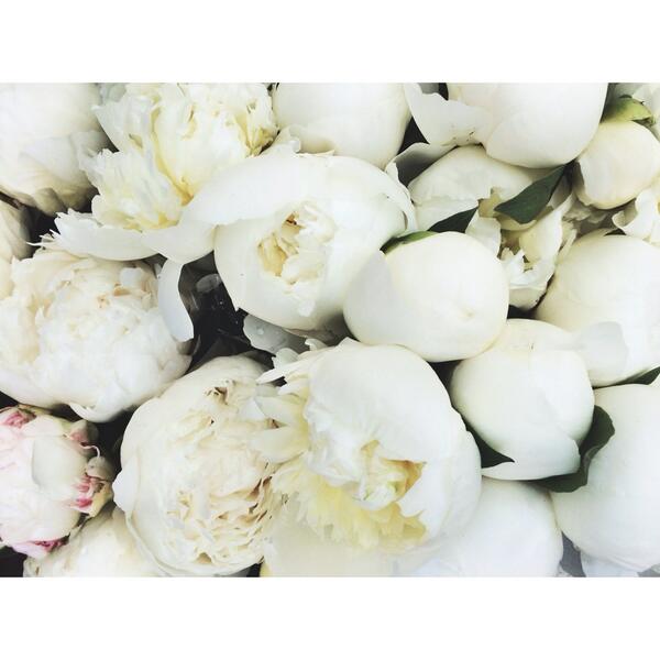 good morning from me to you!