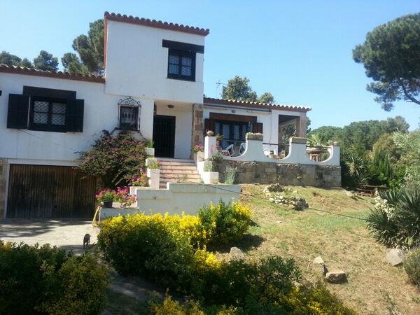 160212Pal's tweet photo. Primavera a casa!! http://t.co/2Bbb1RAt3y