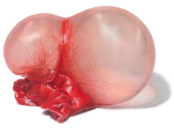 fdac's tweet photo. Today at 11am hear Julia Randall talk about her show "Oral Fixations" at the DAC! @wesleyan_u #RC2014 http://t.co/KAWQeGimbh