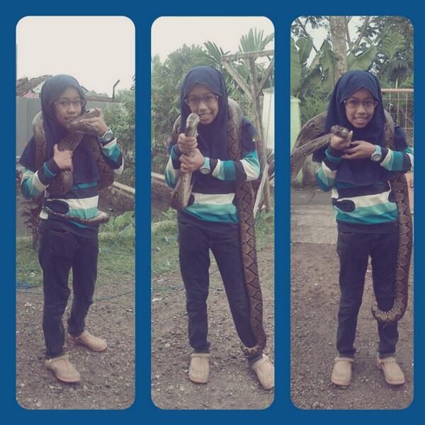 Permalink gambar yang terpasang