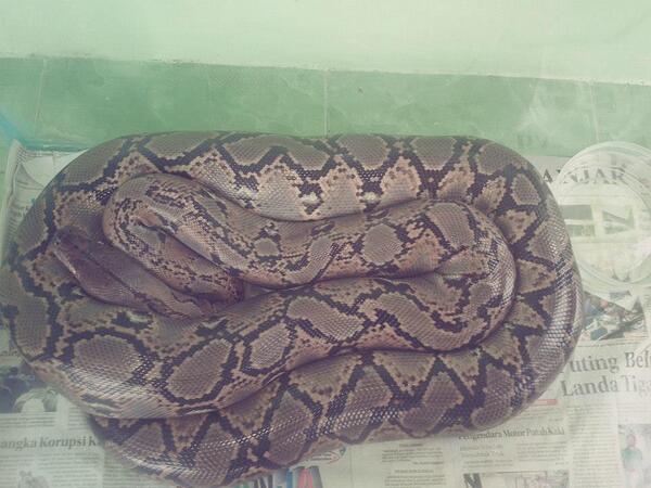 Permalink gambar yang terpasang