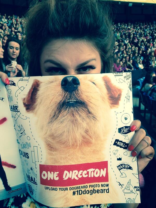 _Tw4tSt3ph's tweet photo. #1ddogbeard WOOF MANCHESTER. @onedirection @Real_Liam_Payne @Harry_Styles @zaynmalik @NiallOfficial @Louis_Tomlinson http://t.co/zCa5HM4FLe