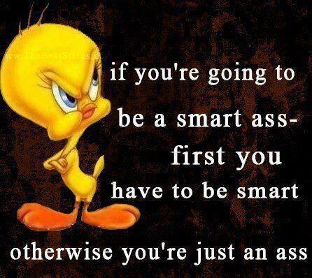 topvapenews's tweet photo. #smart #true #Quote #tweet #E #Bird I think tweety needs a @Breathecig #ecigs #Health #Altnernative Handcrafted Vapor http://t.co/nLMzNy4I6Z