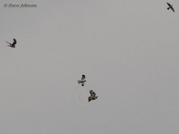 d___johnson's tweet image. No sun and distant.