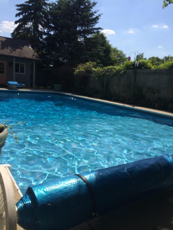 imgossy's tweet image. #clientperks #newbarkbitch