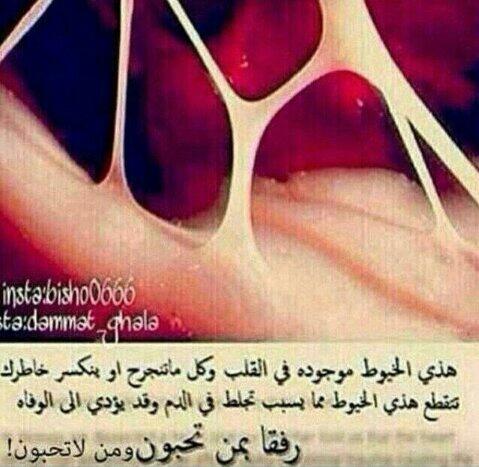 totoshmal's tweet photo. رفقا بمن تحبون وحتى من لاتحبون http://t.co/Wf33091HYZ