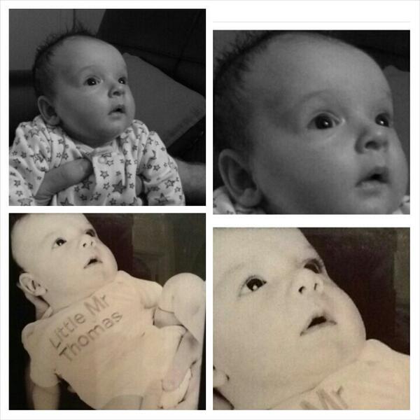 Melt7415's tweet photo. Jack &amp; Finley #lookalikes http://t.co/2vVec9MpSC