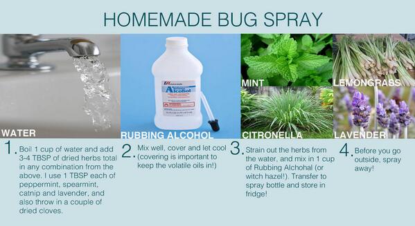 HumberArb's tweet photo. Nice smelling homemade bugspray! #DIYBugspray http://t.co/DEQJyv6rSV