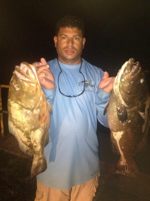 TonySternFish's tweet photo. Grouper anyone??? Rough night! http://t.co/SurS6pVVsk
