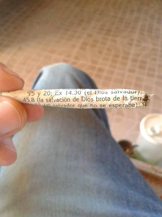 marihuanero247's tweet photo. La salvación de dios brota de la tierra http://t.co/hFekjl5Z1r