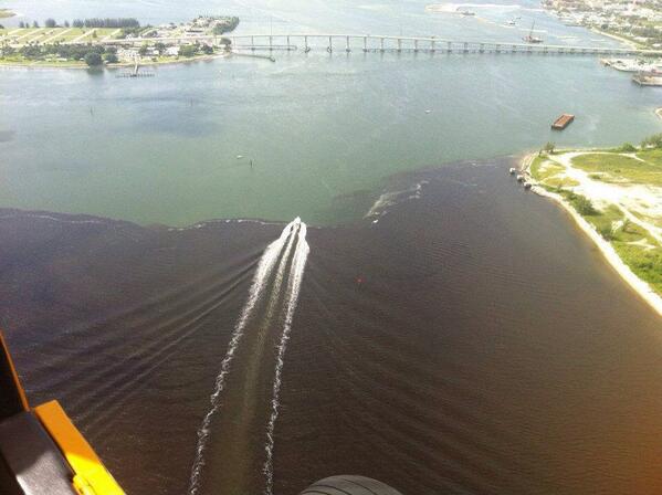 SenatorJulio's tweet photo. Fort Pierce, this is repulsive. We need a #CleanCoast http://t.co/jAP9vKOlhR