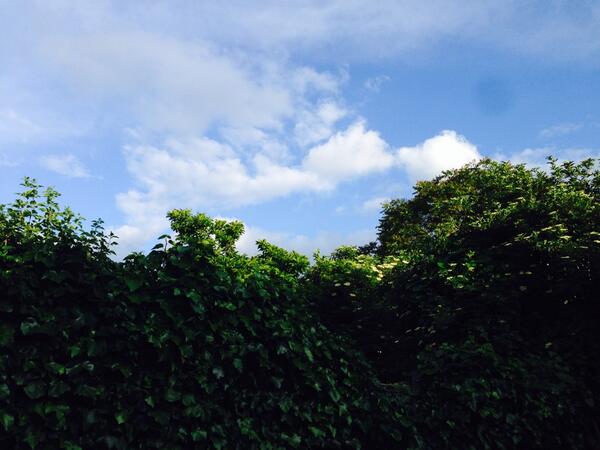 JonoCaseley's tweet photo. Thunderstorms... Not in my back yard http://t.co/pajkj6FoUG