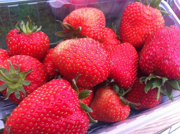 Look at these lovely local strawberries!